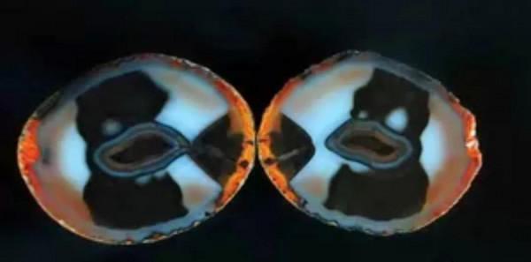 愛石之人～值得深交