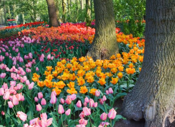 2022年，4個星座，不放棄不悲觀不埋怨，努力奮鬥，成就不凡