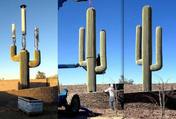 1891歲大樹的年輪，大象推翻汽車，喜鵲騎著白頭鷹，鬣狗飼養員