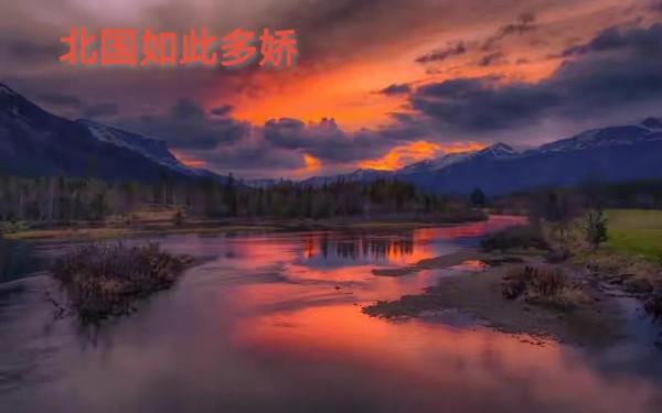 司馬南出生於東北，東北的雪景實在是美