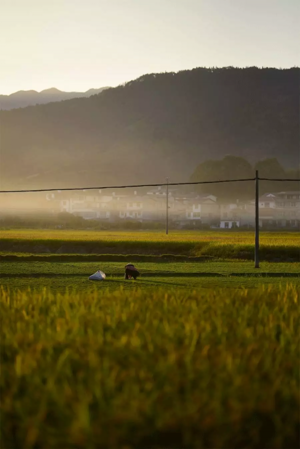 歸隱田園,中國人永遠的夢 歸隱田園,中國人永遠的夢