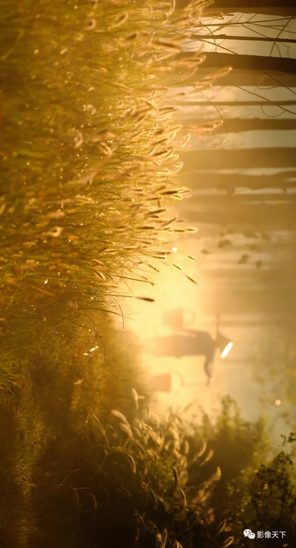 湖北的秋天,美呆了! 湖北的秋天,美呆了!