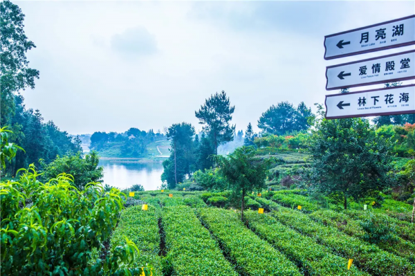 元旦最強攻略出爐！小眾美景、愜意度假、全家出遊都有，拿走去耍