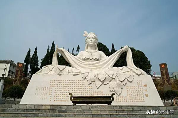 桑蠶文化活化石-柘桑蠶 桑蠶文化活化石-柘桑蠶