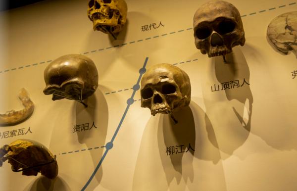 青藏高原發現22.6萬年前的手印，堅硬石板上清晰可見，是誰留下的