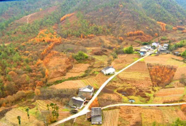 在霜打風吹之前，趕赴一場油畫般的美景盛宴