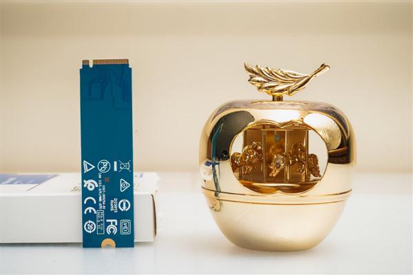 SSD新標杆！西部資料藍盤SN 570 1TB深度測試