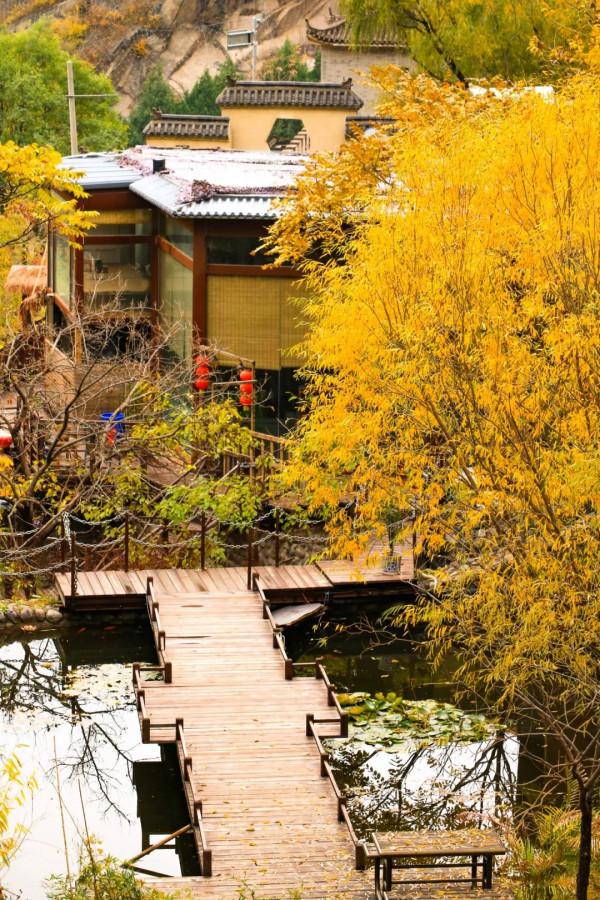 鳳凰嶺彩葉進入最佳觀賞期