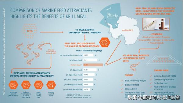 南極磷蝦：來自海洋的可持續性解決方案