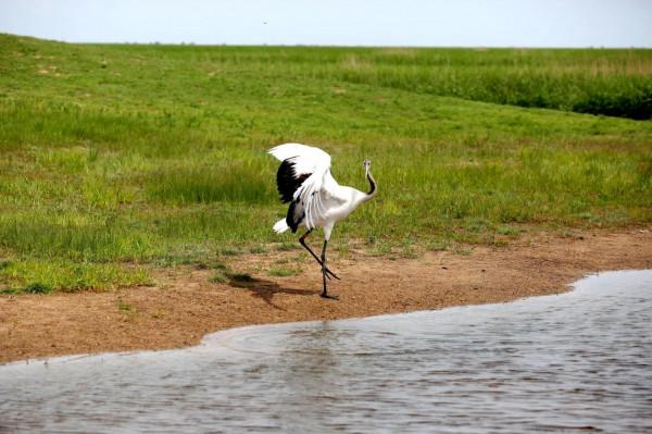 自駕十年(2013)——阿爾山踏青( 四) 自駕十年(2013)——阿爾山踏青( 四)