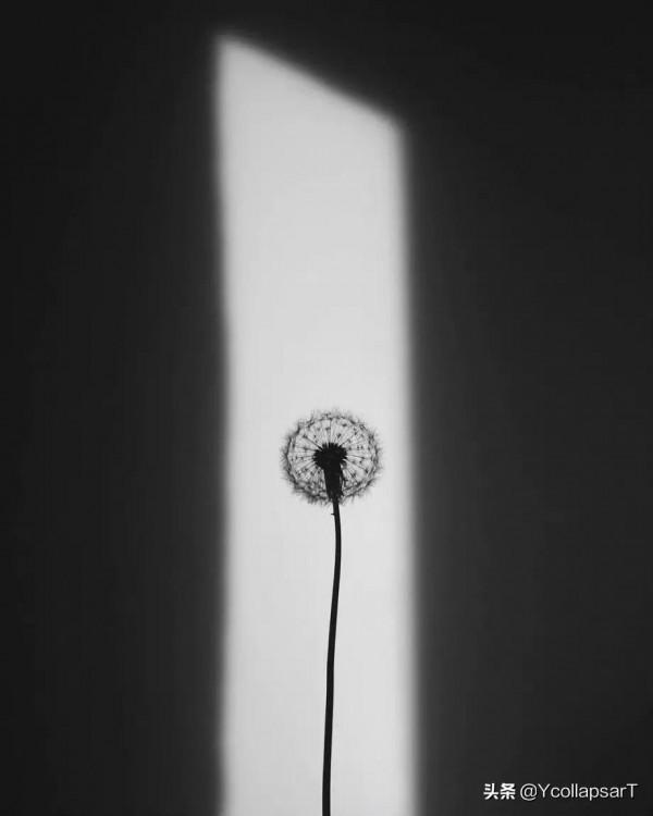 海子,孤獨的詩人,孤獨的詩歌 海子,孤獨的詩人,孤獨的詩歌