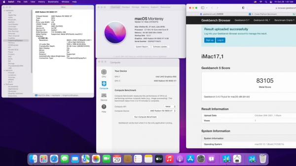 AMD6600/6600XT已經支援黑蘋果MACOS
