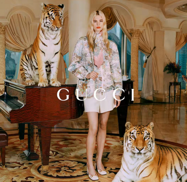 Gucci曬虎年全家福！倪妮穿中國紅站C位不愧是長公主，鹿晗超帥氣