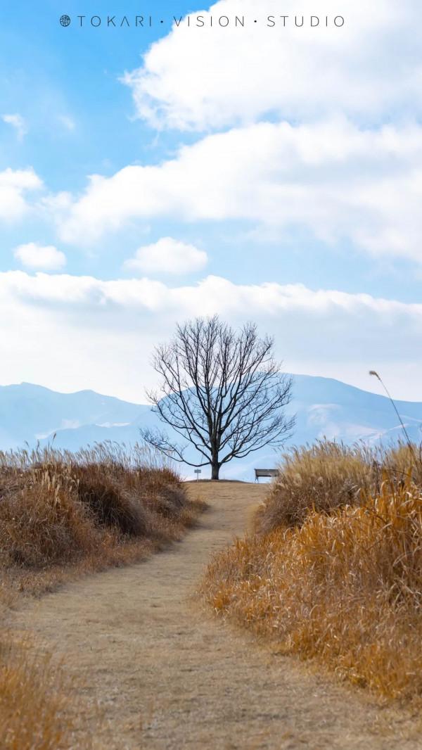 逛逛日本 &vert; 冬遊紀行 樂在九州