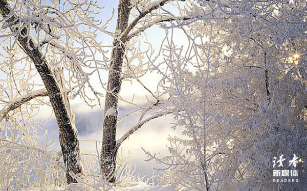 相識6天就結婚，70年後，他們決定共同安樂死