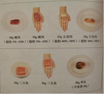漫語健康 | 吃什麼有助於孩子長高？