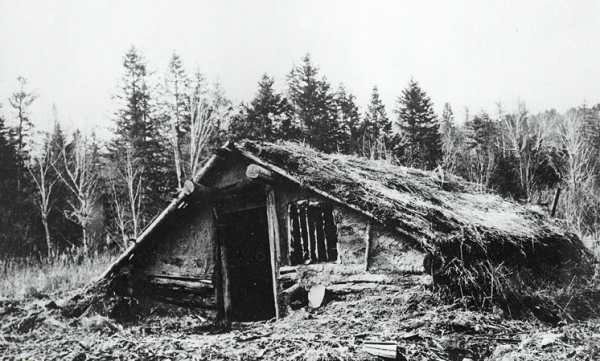 抗聯警衛員回憶：屁股被打穿，雙手凍成冰，團長大喊趕緊用雪搓