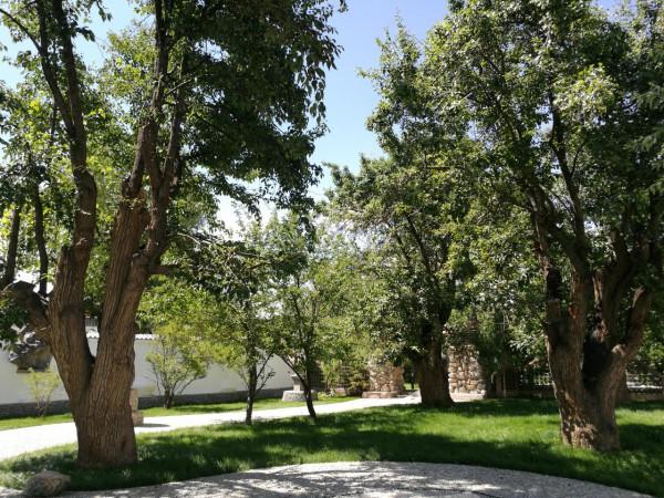 青海湖，祁連山，扎尕那，一車老兩口，西北自駕遊。之六：貴德2