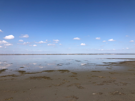 塞外聖潔明塘——黃旗海