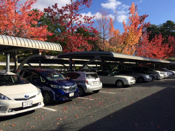 《忙中偷閒》今年第一次,作州武藏田園俱樂部 《忙中偷閒》今年第一次,作州武藏田園俱樂部