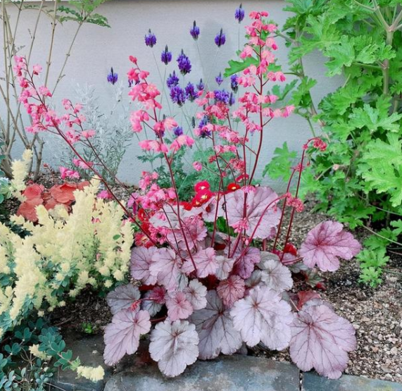 日本這位38歲女人，每天堅持“斷舍離”，小家一塵不染！真心羨慕