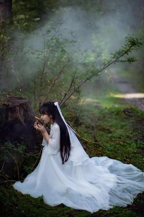 李子柒驚豔寫真集 李子柒驚豔寫真集