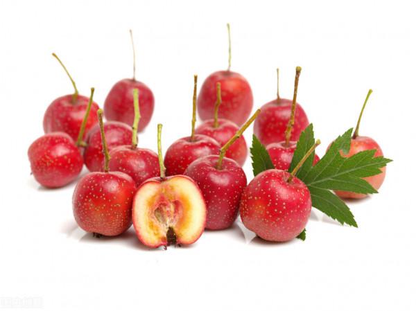 高血脂,手腳麻木?這張方子僅3味藥,行氣加活血,打通經脈 高血脂,手腳麻木?這張方子僅3味藥,行氣加活血,打通經脈