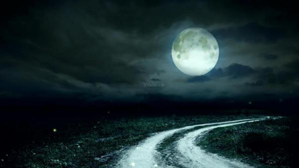 怪盜飛天鼠（陸）