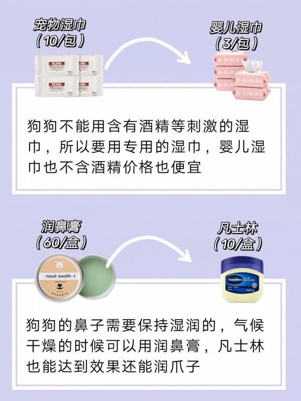 教你如何每月不超200就能精緻養狗｜養狗清單