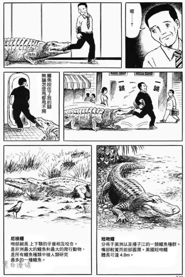 辦公室裡的短吻鱷（漫畫）