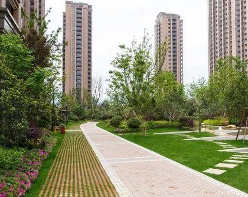 為什麼樓層越高房價越貴？原來是這5大原因之一！以後不怕貓膩了