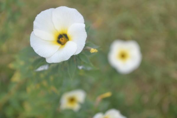 天秤座女生2022年運勢詳解，不斷提高個人能力，用實力證明自己