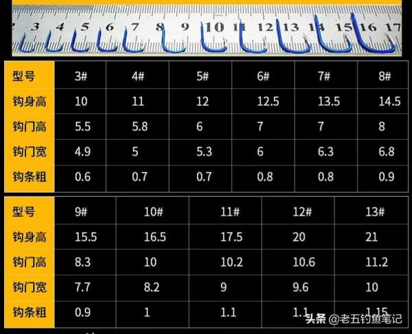 看重慶禁魚區新管理制度，釣魚人迎來春天，值得全國推廣