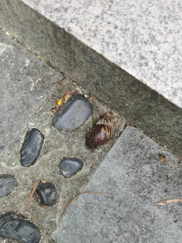 公元某年某月某日某山半日遊