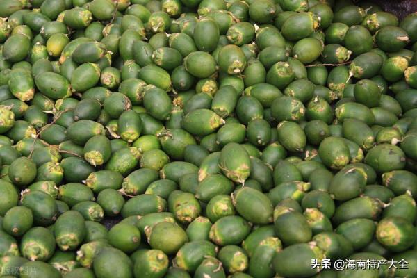 海南檳榔青果收購價格行情(2021年9月23日) 海南檳榔青果收購價格行情(2021年9月23日)