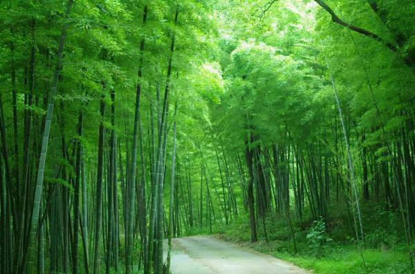 韋處厚的《盛山十二詩》、開州千年的文化符號（10）