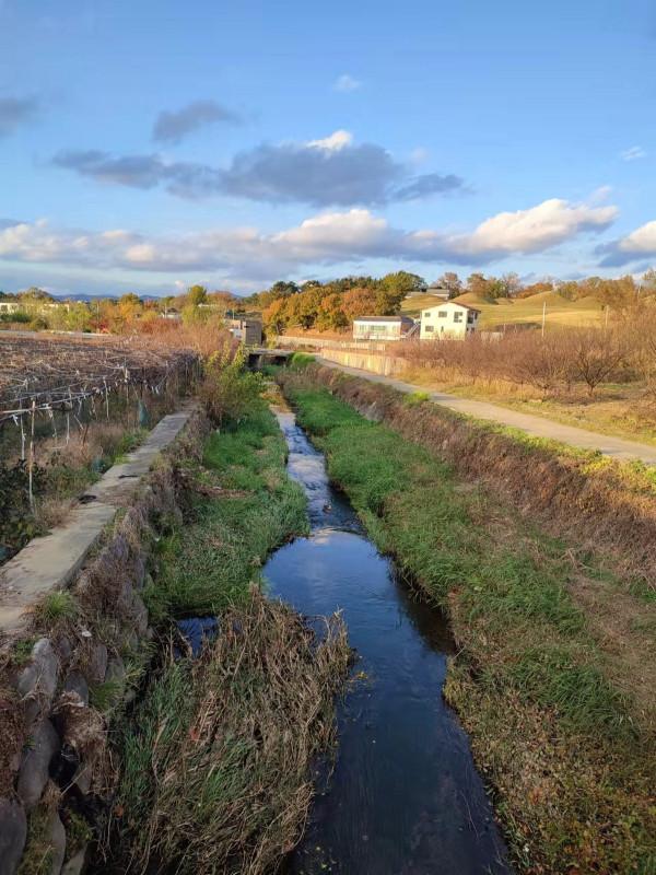 韓國物價很高嗎?吃不起60元一棵的白菜? 韓國物價很高嗎?吃不起60元一棵的白菜?