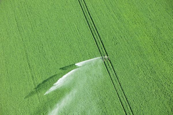 噴灌、滴灌、水平、湧流……哪種灌溉方式最節水？