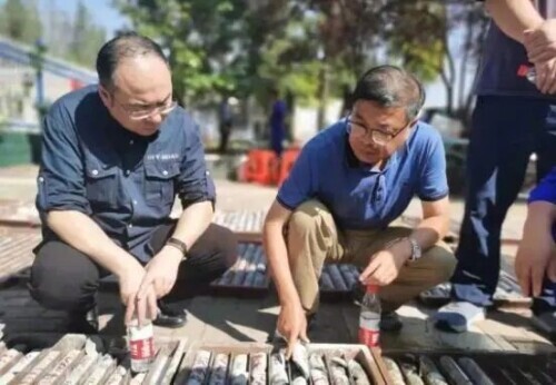 31.55噸黃金!河南發現特大金礦,僅僅30多噸儲量,真的很多嗎? 31.55噸黃金!河南發現特大金礦,僅僅30多噸儲量,真的很多嗎?