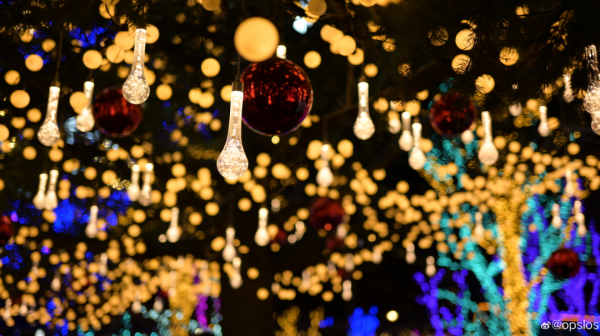 元旦去哪玩？賞花燈、看錶演、戲冰雪……