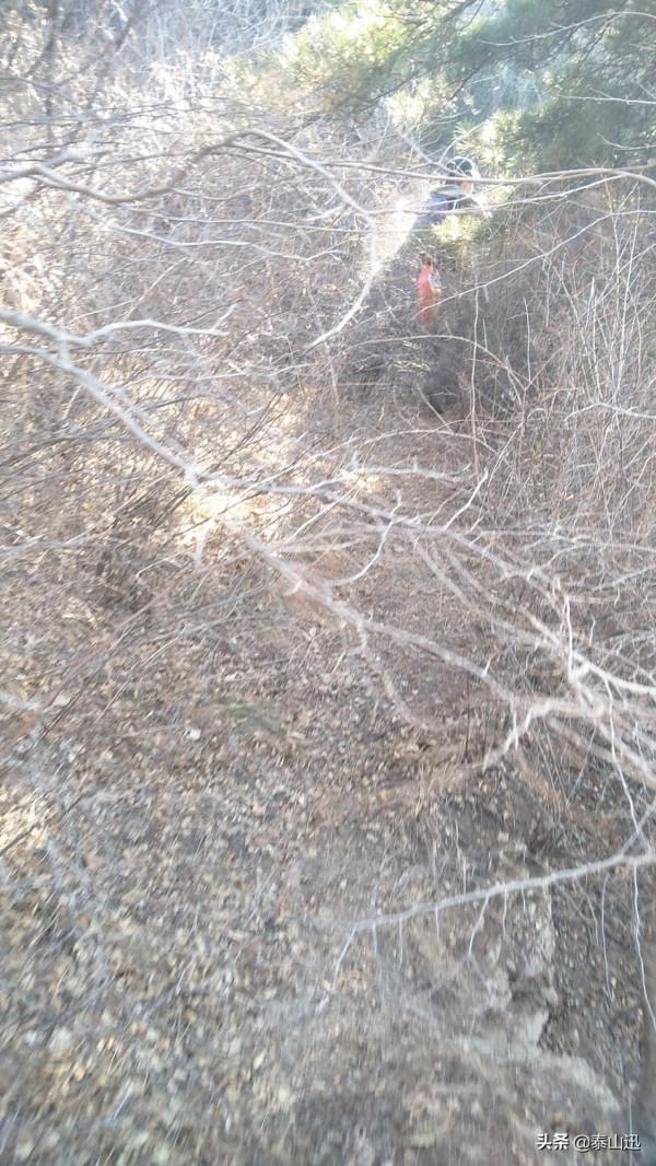 冬至驢行泰山之黃石崖，老平臺，映霞峰，桃花峪東西穿越
