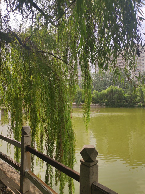 雨過天晴 公園一日遊