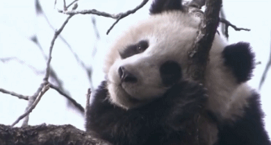 豆瓣9.5高分，北大教授與“國寶”列傳