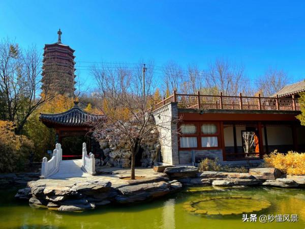 北京遛娃拍照賞秋的好去處，比香山人少，不要門票卻少有遊客知道