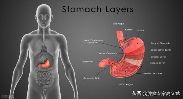 臨床上常用的腫瘤標誌物（2）