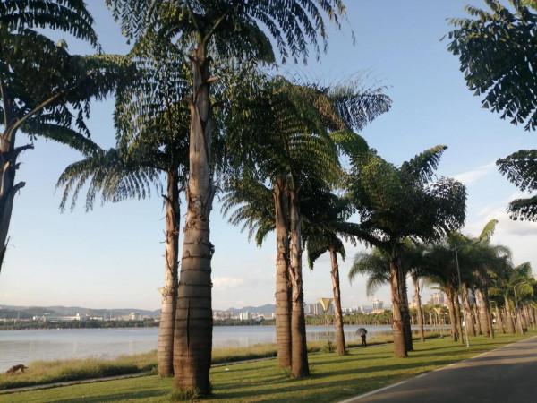 彌勒旅居,10個大家關心的問題 彌勒旅居,10個大家關心的問題