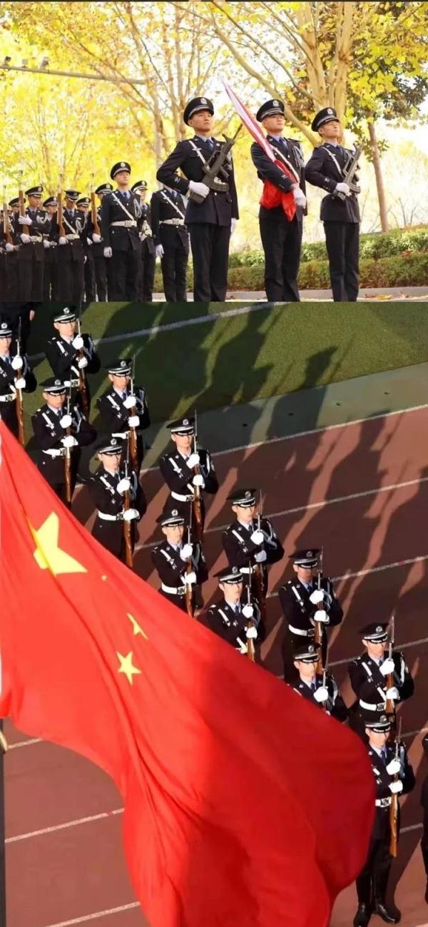 河南這所高校的秋:又美又颯 河南這所高校的秋:又美又颯