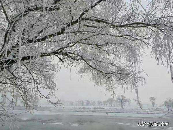 國內適合冬季冰雪旅行的五個目的地｜附詳盡攻略｜你喜歡哪個