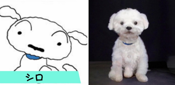 《蠟筆小新》角色真人化,小愛果然很可愛,吉永老師顏值超高 《蠟筆小新》角色真人化,小愛果然很可愛,吉永老師顏值超高