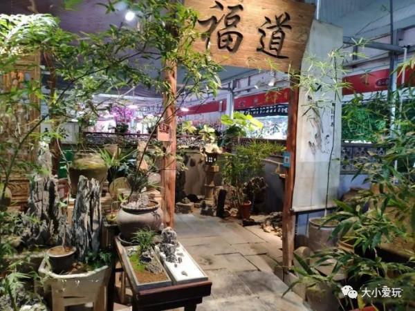 京城八大寶藏花市裡,藏著孩子最愛的植物園和水族館,冬日逛起來 京城八大寶藏花市裡,藏著孩子最愛的植物園和水族館,冬日逛起來